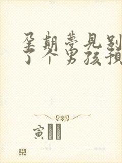 孕期梦见别人生了个男孩预示什么