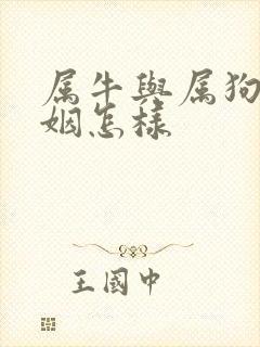 属牛与属狗的婚姻怎样