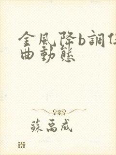 金风降b调伴奏曲动态