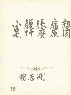 小腹胀痛想大便是什么原因