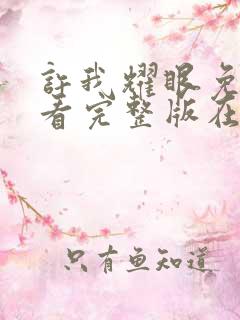 许我耀眼免费观看完整版在线全集