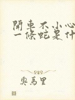 开车不小心压死一条蛇是什么预兆