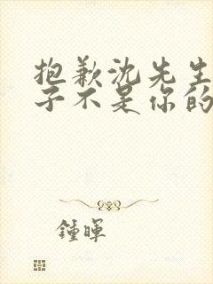 抱歉沈先生,孩子不是你的 短剧