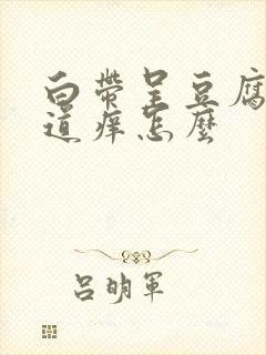 白带呈豆腐渣阴道痒怎么