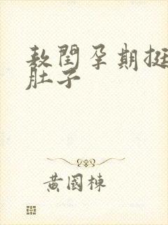 敖闰孕期挺着大肚子