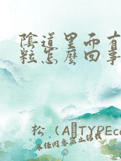 阴道里面有小肉粒怎么回事