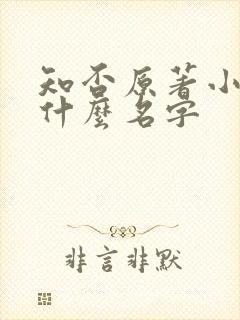 知否原著小说叫什么名字