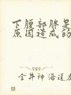 下腹部胖是什么原因造成的