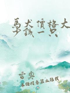 马犬价格大概多少钱一只