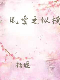 风云之纵横无敌