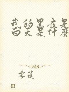 我的黑夜是你的白天是什么歌