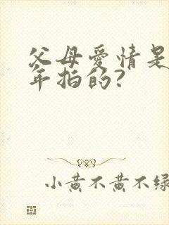 父母爱情是哪一年拍的?