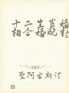 十二生肖婚配属相合婚配对表