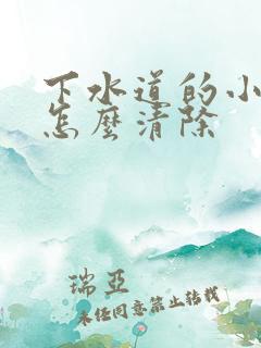 下水道的小飞虫怎么清除