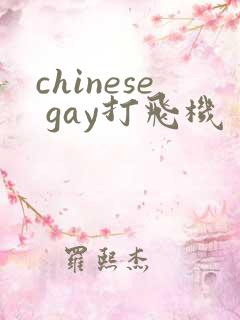 chinese gay打飞机
