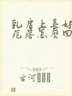 乳房上长好多小疙瘩怎么回事