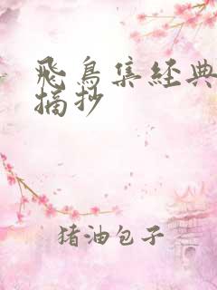 飞鸟集经典段落摘抄