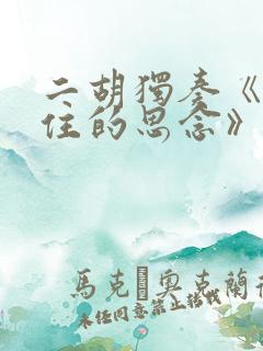 二胡独奏《挡不住的思念》