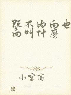 既不内向也不外向叫什么