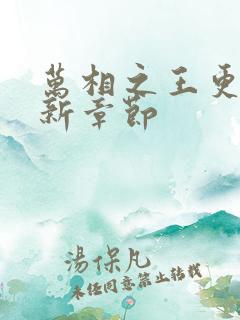 万相之王更新最新章节