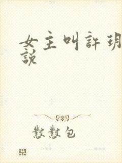 女主叫许玥的小说