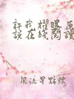 许我耀眼原著小说在线阅读