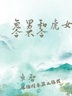 兔男和虎女属相合不合