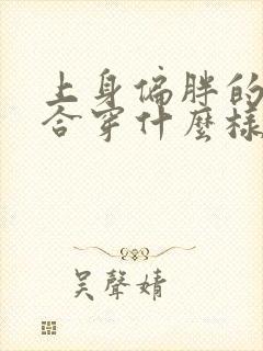 上身偏胖的人适合穿什么样的衣服