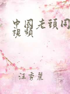 中国老头同性恋视频