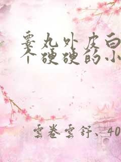 睾丸外皮白色有个硬硬的小疙瘩