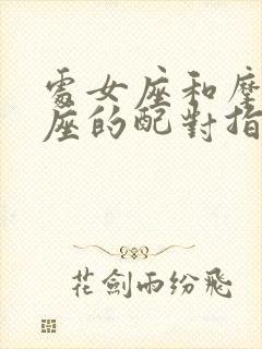 处女座和摩羯座座的配对指数