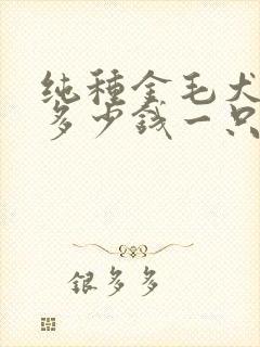 纯种金毛犬价格多少钱一只