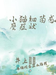 小猫细菌感染什么症状