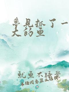 梦见抓了一个好大的鱼