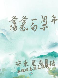 爸爸一周年祭日伤感句子