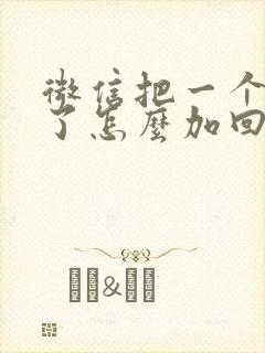 微信把一个人删了怎么加回来