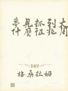 梦见抓到大鱼是什么征兆周公解梦