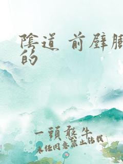 阴道 前壁膨出的