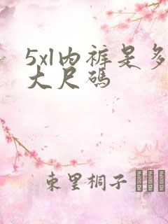 5xl内裤是多大尺码