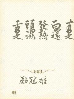 舌头发白有齿痕是湿热还是湿寒