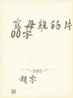 写母亲的片段200字