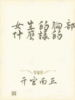 女生的胸部是长什么样的