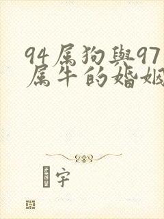 94属狗与97属牛的婚姻合吗