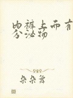 内裤上面有黄色分泌物