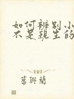 如何辨别小孩是不是亲生的