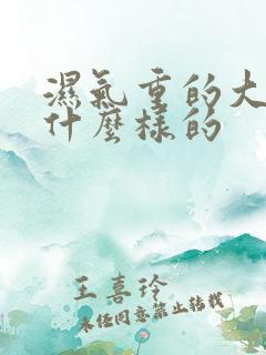 湿气重的大便是什么样的