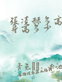 张凌赫多高真实身高多少