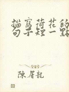 描写荷花的优美句子短一点