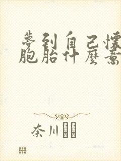 梦到自己怀了双胞胎什么意思