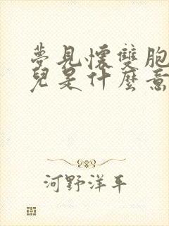 梦见怀双胞胎女儿是什么意思